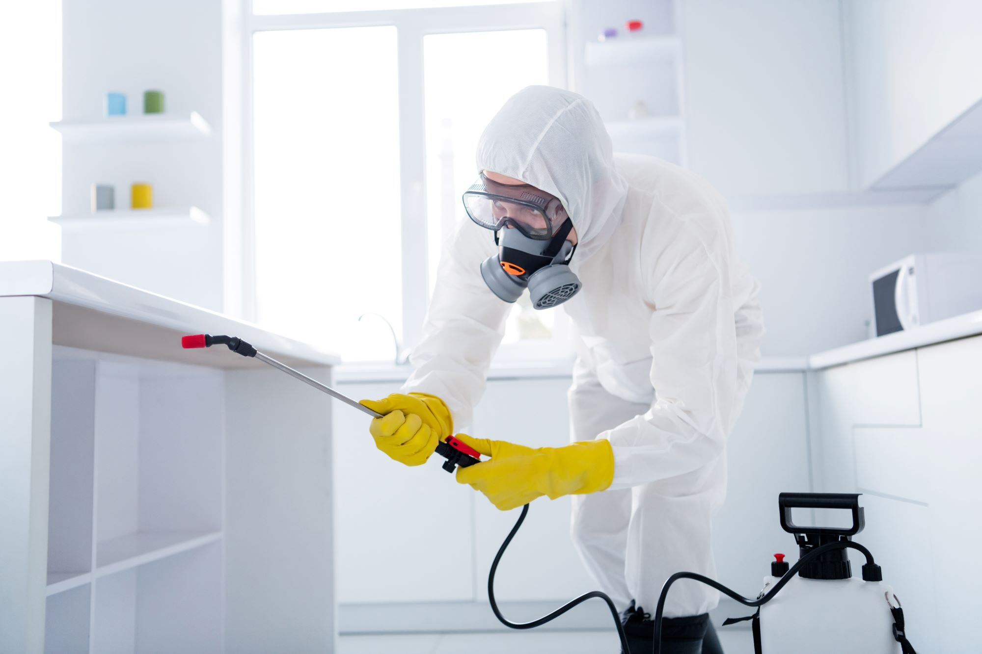 Pest Control: Protecting Homes, Health, and the Environment